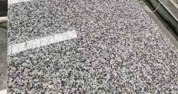 上海 芙蓉白光面