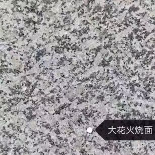 上海 芙蓉白（芝麻白大花）火烧面