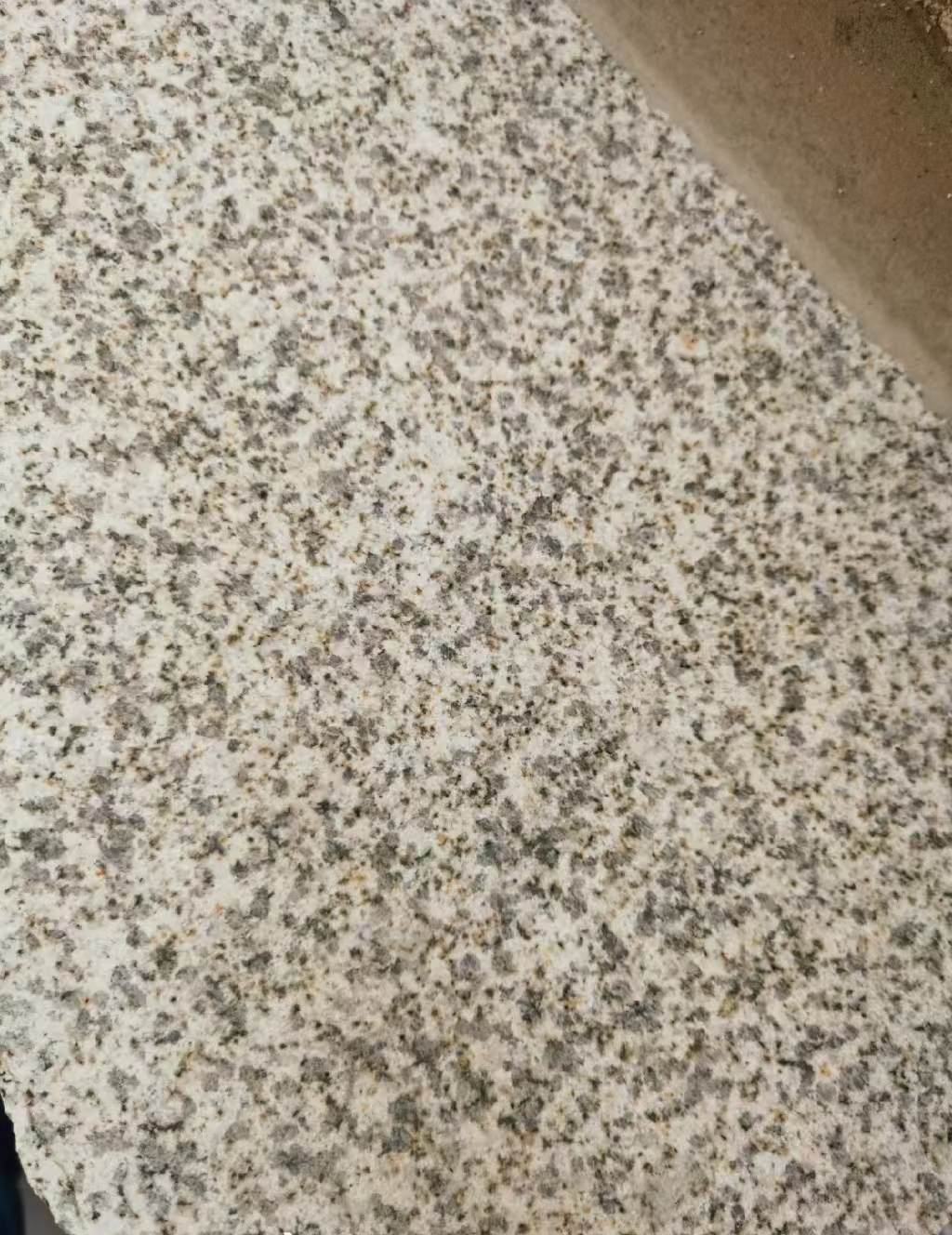 上海 黄金麻中黄光面