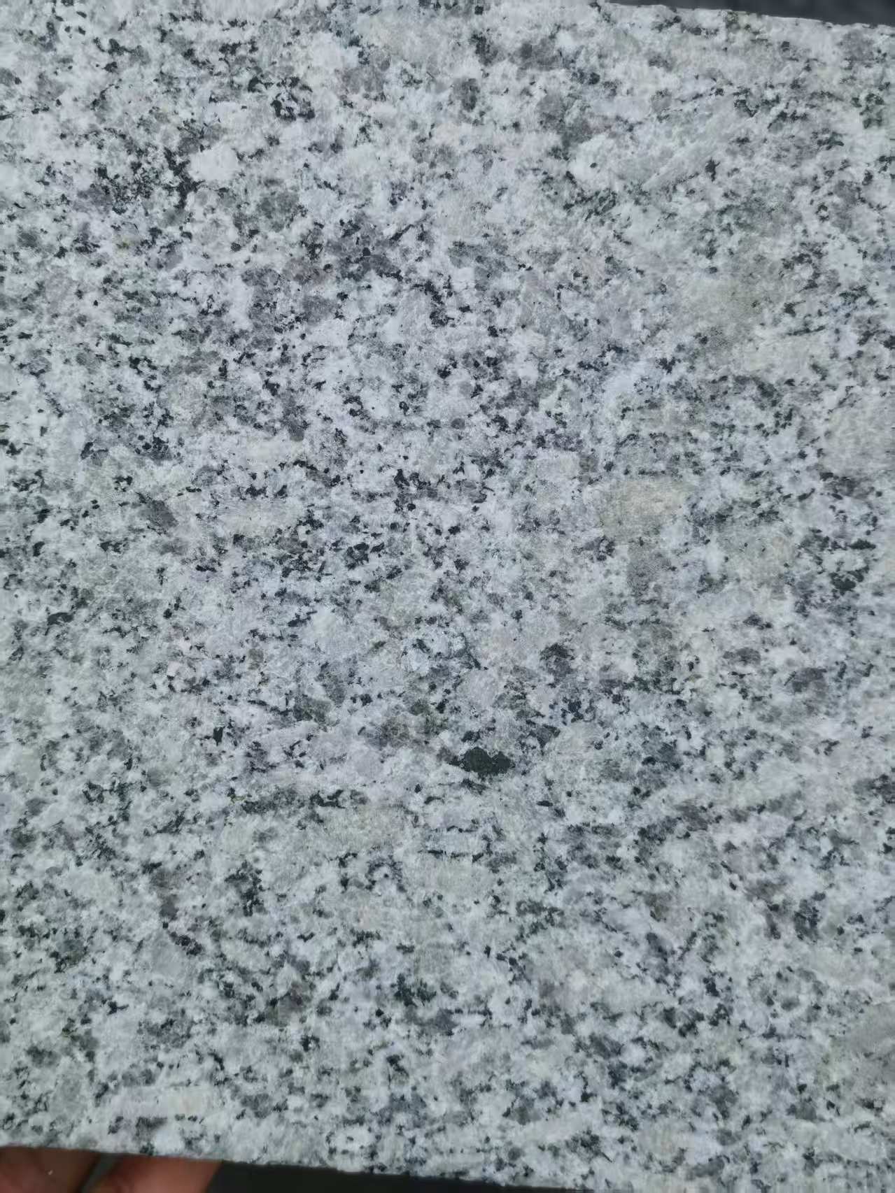 上海 芙蓉白火烧面