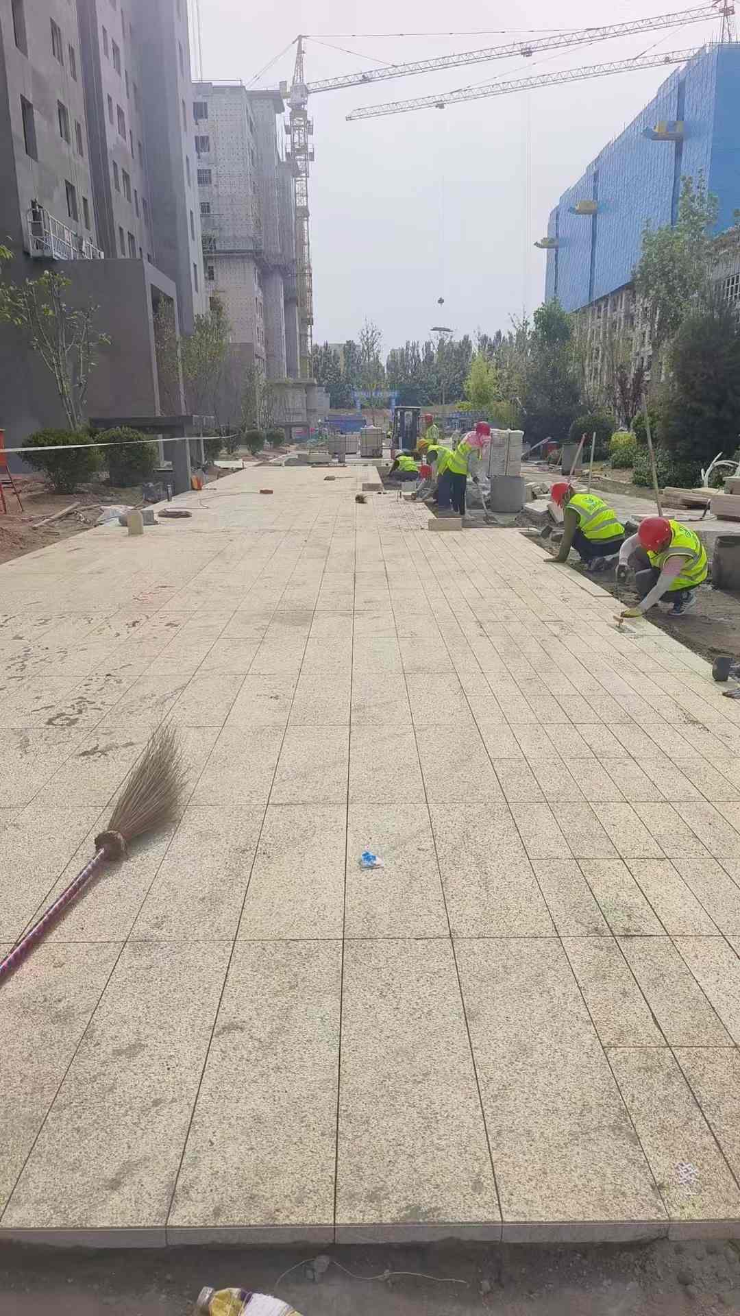 上海黄金麻荔枝面地铺案例