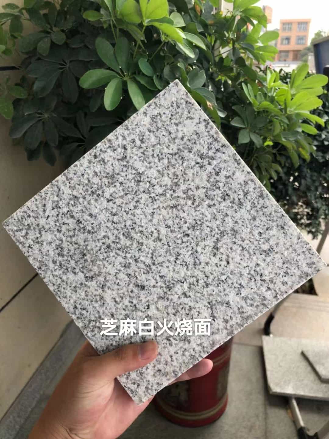上海芝麻白火烧面地铺